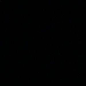 Meet your Posher, Alexander